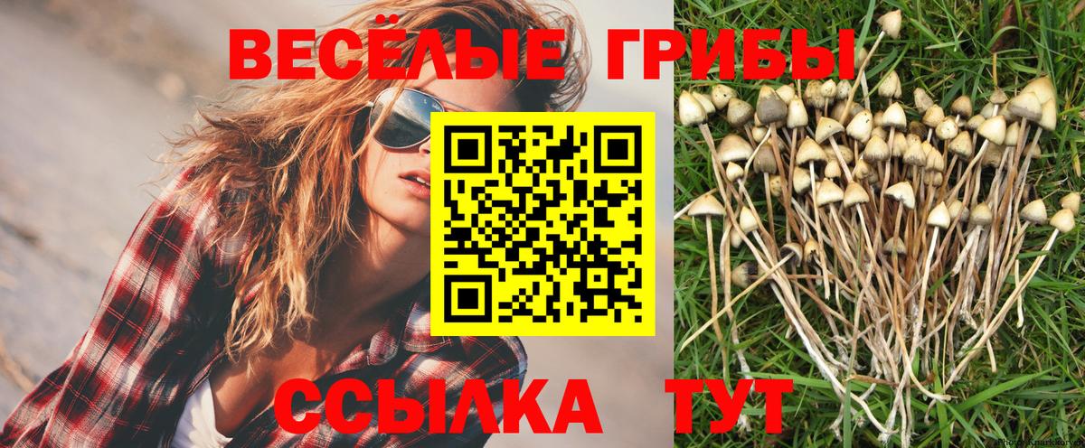 Изобильный  Псилоцибиновые грибы Psilocybe  Вход с VPN  Псилоцибиновые грибы Magic Shrooms 